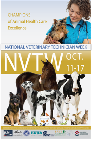 National Veterinary Technician Week October 11-17 - Forest Hill Animal  ClinicForest Hill Animal Clinic